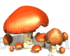 illustration - mushroomshappy-gif